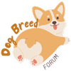 Avatar of dogbreedforum
