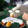 Avatar of arevalothiago09