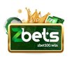Avatar of zbet100win