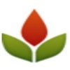 Avatar of Phoenix SEO Company, LHI