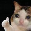 Avatar of furichan0