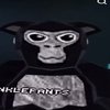Avatar of Vbow