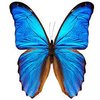 Avatar of ZYZYZYZYZYZYZ7