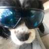 Avatar of yigitberkoz972