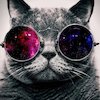Avatar of TheGrazz
