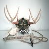Avatar of cavebestiam91