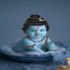 Avatar of maheshsabaliya