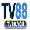 Avatar of TV88