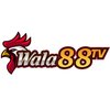Avatar of Wala88 Đá gà trực tiếp CPC4, CPC5, Tonhon