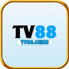 Avatar of tv88guru