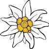 Avatar of ZaiuArt