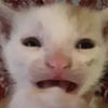 Avatar of Dudzy