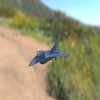 Avatar of fighterjet_guy
