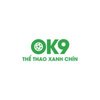 Avatar of Ok9119 Com