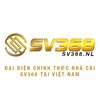 Avatar of SV368