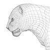 Avatar of ARRAY3DSTUDIO