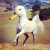 Avatar of LeftArm13