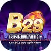 Avatar of B29