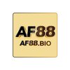 Avatar of Af88