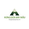 Avatar of Rừng Dừa Bảy Mẫu