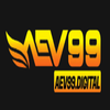 Avatar of aev99 digital