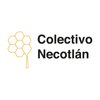 Avatar of Colectivo Necotlán