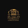 Avatar of Pompeii Airport Car Service San Diego
