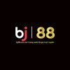 Avatar of Bj88com Net