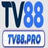 Avatar of TV88