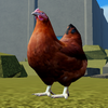 Avatar of Udpy