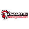Avatar of Xem Đá Gà