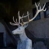 Avatar of MooseMannequin