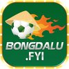 Avatar of bongdalu fyi