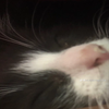 Avatar of iinotcxudy