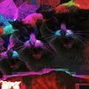 Avatar of monday13