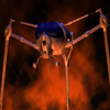 Avatar of lill scout