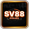 Avatar of sv88