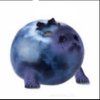 Avatar of errchloe3