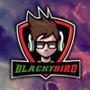 Avatar of BlackyBird