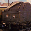 Avatar of kerryboydtodd