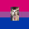 Avatar of senorburito24