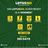 Avatar of Lotus 365