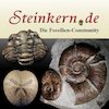 Avatar of Steinkern