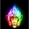 Avatar of Fire monkey