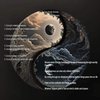 Avatar of crystle