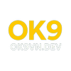 Avatar of ok9vndev