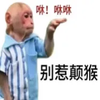 Avatar of Panda_LS
