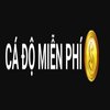 Avatar of cadomienphi
