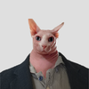 Avatar of Saheded