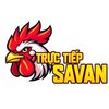 Avatar of Đá Gà Trực Tiếp Savan